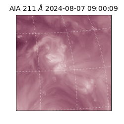 saia - 2024-08-07T09:00:09.618000