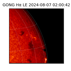 gong - 2024-08-07T02:00:42