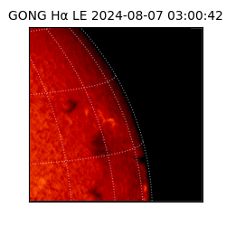 gong - 2024-08-07T03:00:42