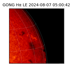 gong - 2024-08-07T05:00:42