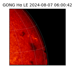 gong - 2024-08-07T06:00:42