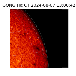 gong - 2024-08-07T13:00:42