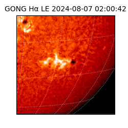 gong - 2024-08-07T02:00:42