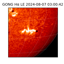 gong - 2024-08-07T03:00:42