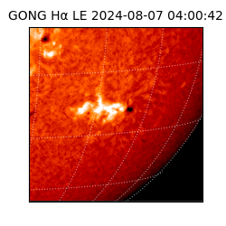 gong - 2024-08-07T04:00:42