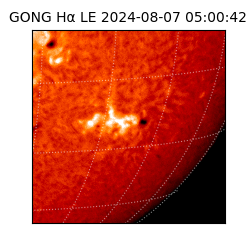 gong - 2024-08-07T05:00:42