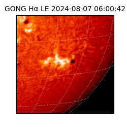 gong - 2024-08-07T06:00:42