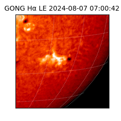 gong - 2024-08-07T07:00:42
