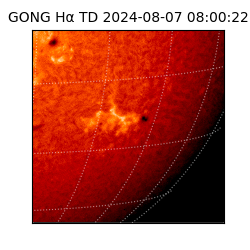 gong - 2024-08-07T08:00:22