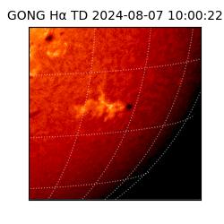 gong - 2024-08-07T10:00:22