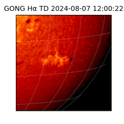 gong - 2024-08-07T12:00:22