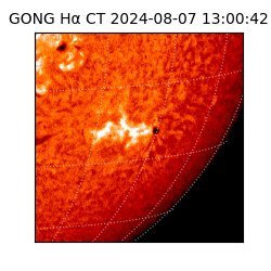 gong - 2024-08-07T13:00:42