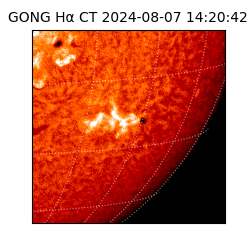 gong - 2024-08-07T14:20:42