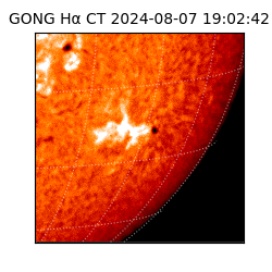 gong - 2024-08-07T19:02:42