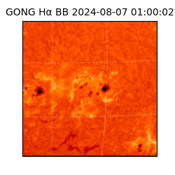 gong - 2024-08-07T01:00:02