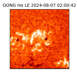 gong - 2024-08-07T02:00:42