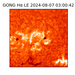gong - 2024-08-07T03:00:42
