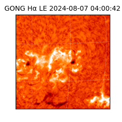 gong - 2024-08-07T04:00:42
