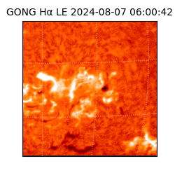 gong - 2024-08-07T06:00:42