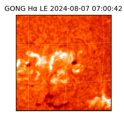 gong - 2024-08-07T07:00:42