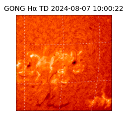 gong - 2024-08-07T10:00:22