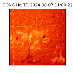gong - 2024-08-07T11:00:22