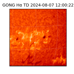 gong - 2024-08-07T12:00:22