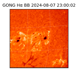 gong - 2024-08-07T23:00:02