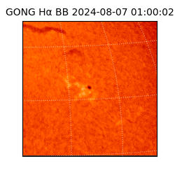 gong - 2024-08-07T01:00:02