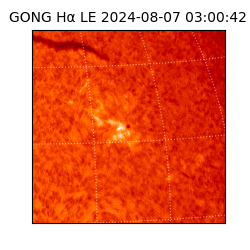 gong - 2024-08-07T03:00:42