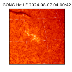 gong - 2024-08-07T04:00:42