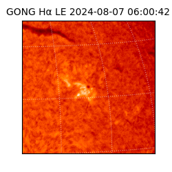 gong - 2024-08-07T06:00:42