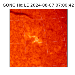 gong - 2024-08-07T07:00:42