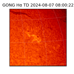 gong - 2024-08-07T08:00:22