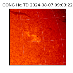 gong - 2024-08-07T09:03:22