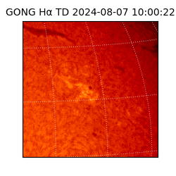 gong - 2024-08-07T10:00:22