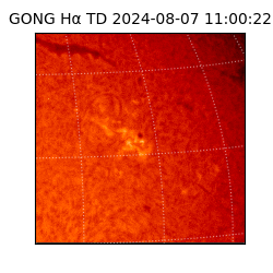 gong - 2024-08-07T11:00:22