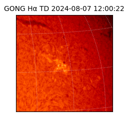 gong - 2024-08-07T12:00:22