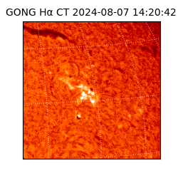 gong - 2024-08-07T14:20:42