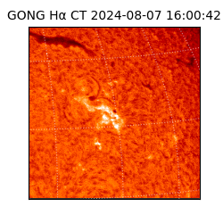 gong - 2024-08-07T16:00:42