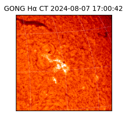 gong - 2024-08-07T17:00:42