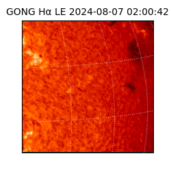 gong - 2024-08-07T02:00:42