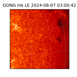 gong - 2024-08-07T03:00:42