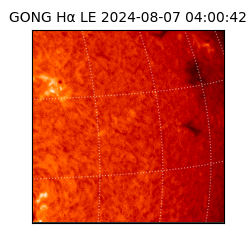 gong - 2024-08-07T04:00:42