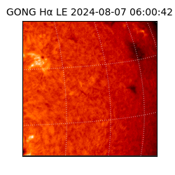 gong - 2024-08-07T06:00:42