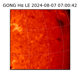 gong - 2024-08-07T07:00:42