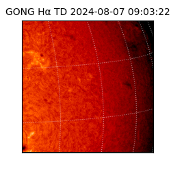 gong - 2024-08-07T09:03:22