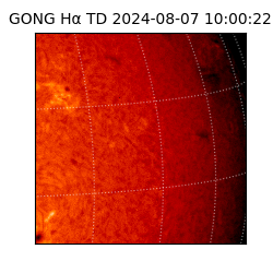 gong - 2024-08-07T10:00:22