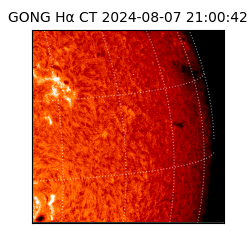 gong - 2024-08-07T21:00:42