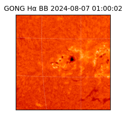 gong - 2024-08-07T01:00:02